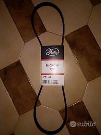 Cinghia servizi gates