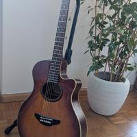 Chitarra Acustica Yamaha