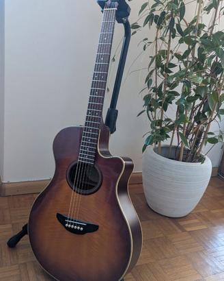 Chitarra Acustica Yamaha