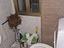 Immagine 25