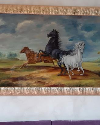 Quadro cavalli