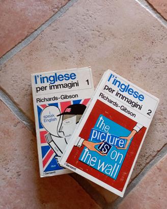 Dizionari italiano-inglese e spagnolo.
