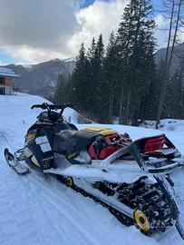 Motoslitta Ski-Doo 800