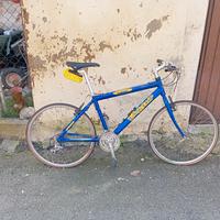 bicicletta da corsa Shimano 