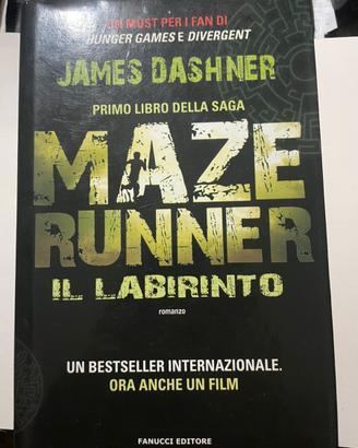 Maze runner