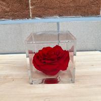 Rosa stabilizzata grande Nuova Flower cube Italy