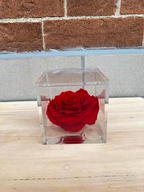Rosa stabilizzata grande Nuova Flower cube Italy