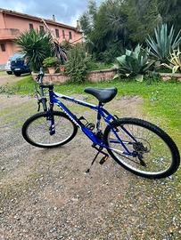 Mountain Bike blu elettrico – freni tradizionali