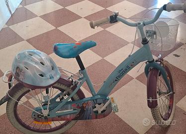 Bici frozen