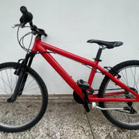 BICI MTB PINARELLO RAGAZZO