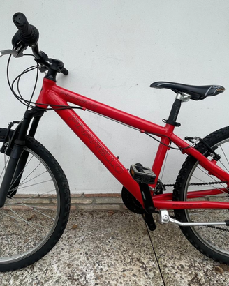 BICI MTB PINARELLO RAGAZZO