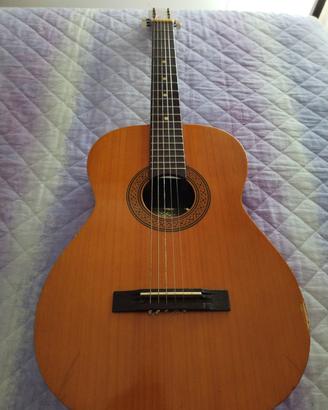 chitarra 