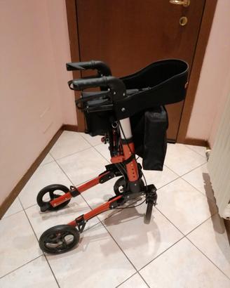 Deambulatore da esterno