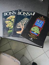 riviste Bonsai Focus e Bonsai news