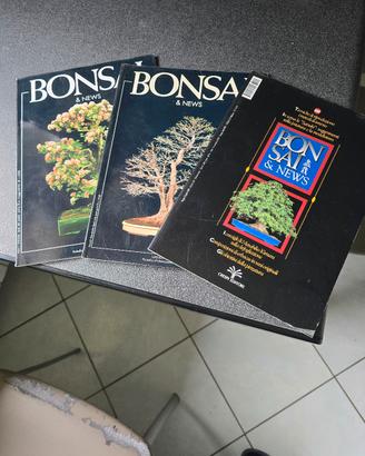 riviste Bonsai Focus e Bonsai news