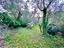 Immagine 7