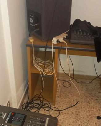 2 casse amplificate Montarbo 210A