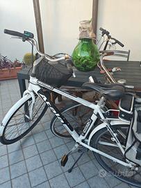 bicicletta elettrica 