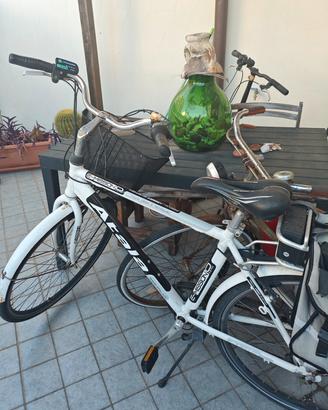 bicicletta elettrica 
