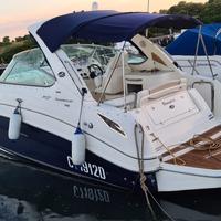 Sea Ray 305 Sundacer