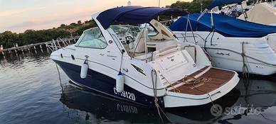 Sea Ray 305 Sundacer