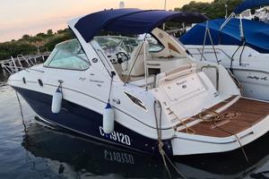 Sea Ray 305 Sundacer