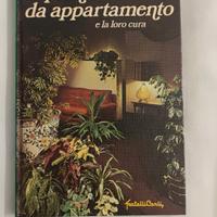 Le piante di appartamento e la loro cura