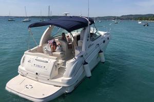 Sea ray Sundancer 315