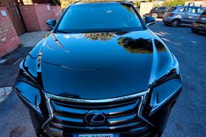 Lexus NX 300