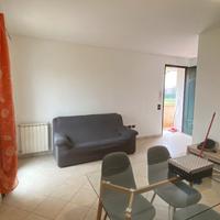 Bilocale, Lusia centro