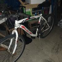 bici mtb 26