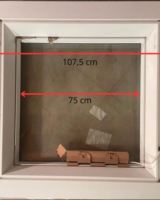 Finestre velux per tetto piano