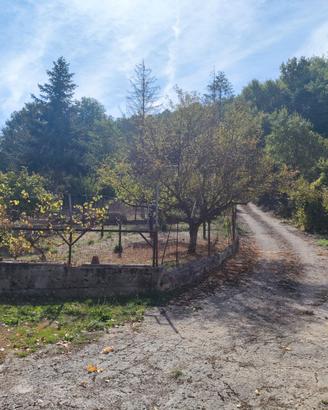 Terreno 3.700 mq con 3 prefabbricati - Picerno (Se