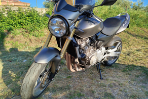 Honda hornet