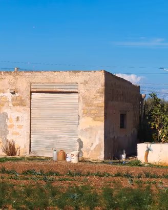 Terreno agricolo a Salina Grande (Misiliscemi)