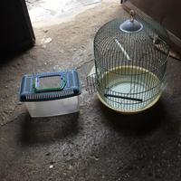 Gabbia è Aquario pesce