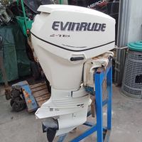 Evinrud 40 etek