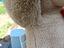 Immagine 6