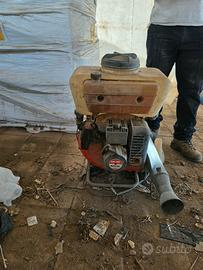 Atomizzatore oleomac AM190