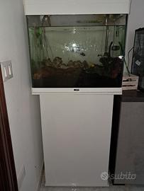 acquario ciano 100 litri