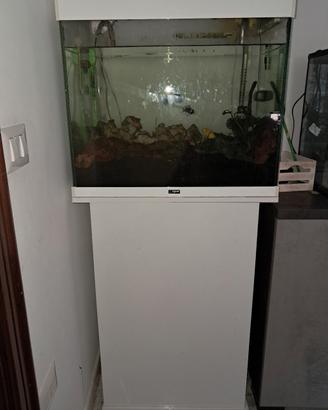 acquario ciano 100 litri