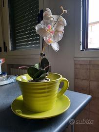 portavaso o sopramobile