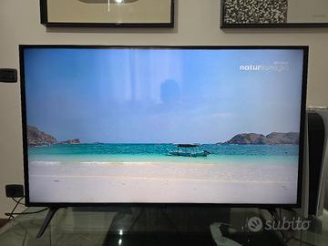 tv lg 43 pollici 