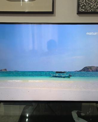 tv lg 43 pollici 