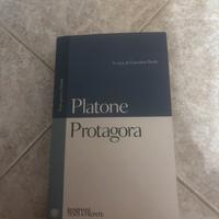 Libro platone, protagora