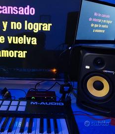 Casse Studio Professionale KRK 6