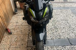 Kawasaki z 900 2019