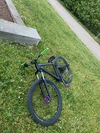 Rockrider 530 custom