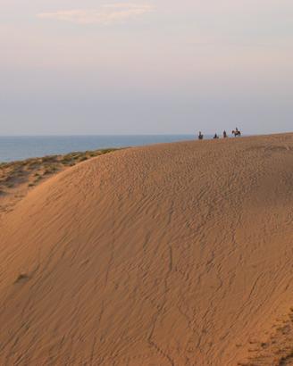 Lake dune house