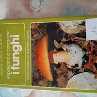 i funghi